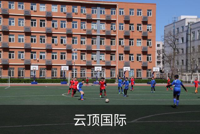 关于云顶国际